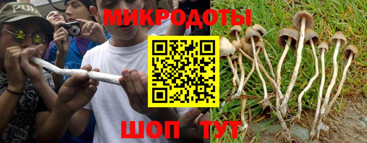 Галлюциногенные грибы GOLDEN TEACHER Малгобек