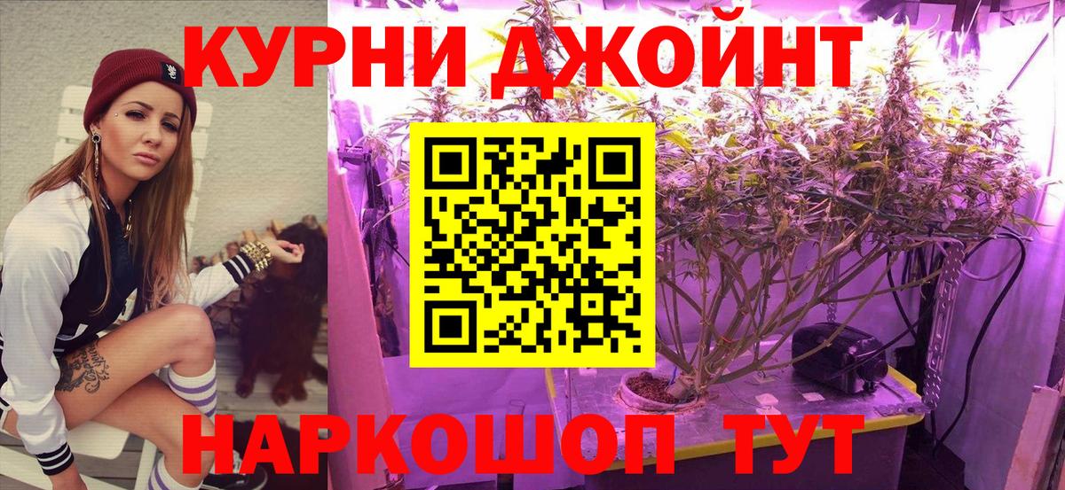 Канабис семена Малгобек